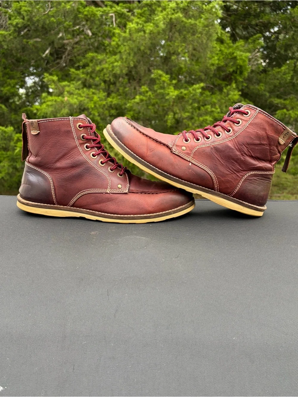Crevo rich burgundy